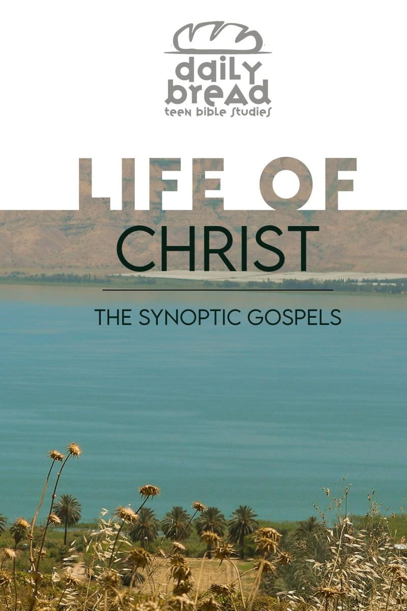 Life Of Christ: The Synoptic Gospels (Teen)