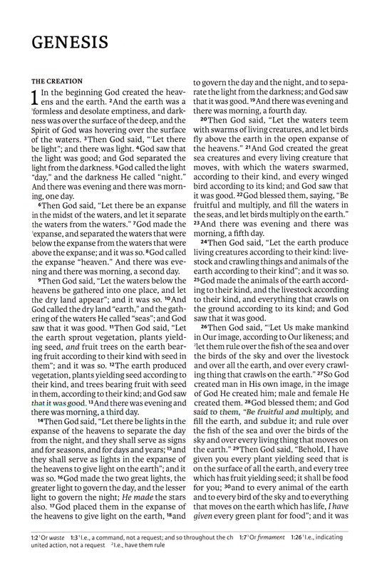 NASB 2020 Large Print Value Thinline Bible - Charcoal Leathersoft