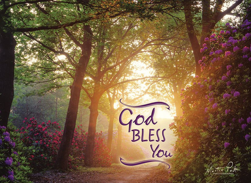 Boxed Cards - Thinking of You: Peaceful Paths