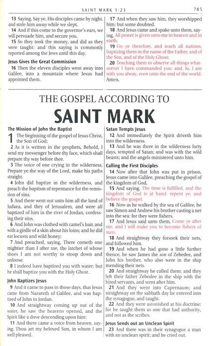KJV Deluxe Gift Bible Pearlescent Taupe Faux Leather Indexed