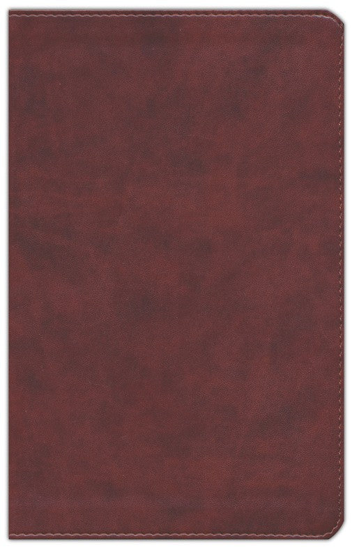 ESV Large Print Personal Size Bible TruTone, Chestnut
