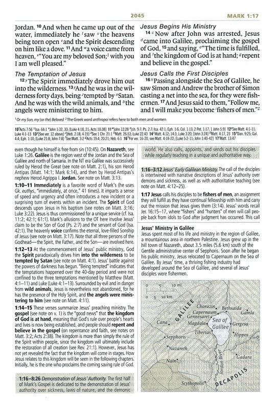 ESV Study Bible Large Print - Mahogany TruTone Trellis Design