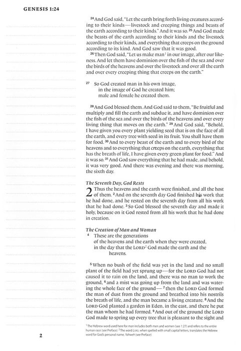 ESV Single Column Journaling Bible, Large Print, Brown Natural Leather w/Leather Strap