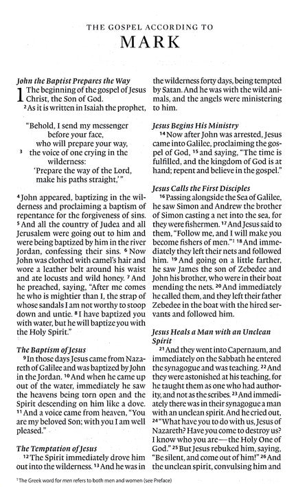 ESV Large Print Thinline Bible, Azurite Blue Trutone