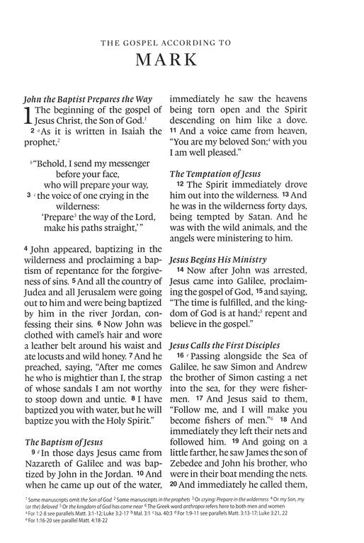 ESV Large Print Wide Margin Bible Black Genuine Leather