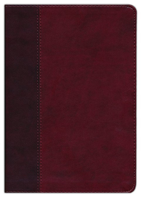 ESV Large Print Thinline Bible, Red/Burgundy Trutone