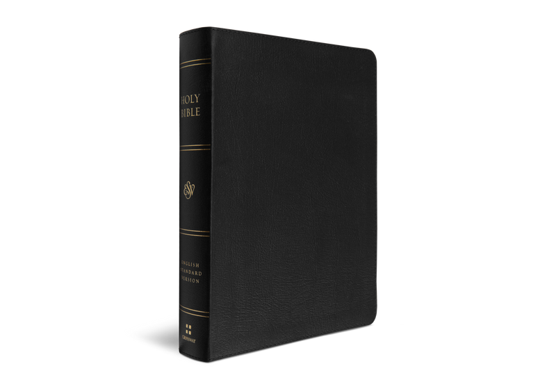 ESV Giant Print Bible Black Genuine