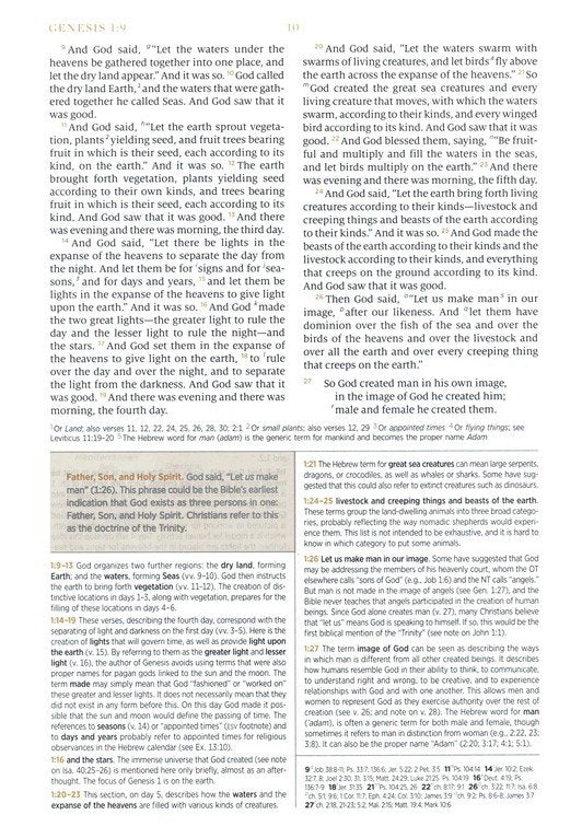 ESV Woman's Study Bible Blush Rose TruTone (top)