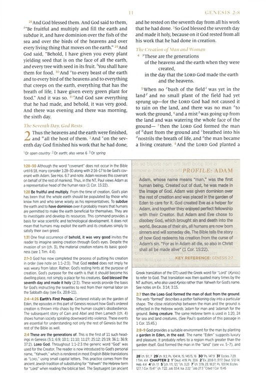 ESV Woman's Study Bible Blush Rose TruTone (top)