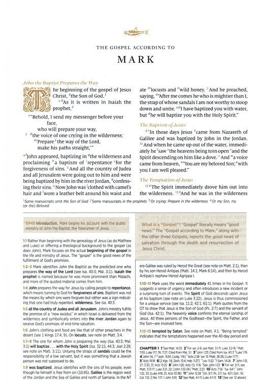 ESV Woman's Study Bible Blush Rose TruTone (top)