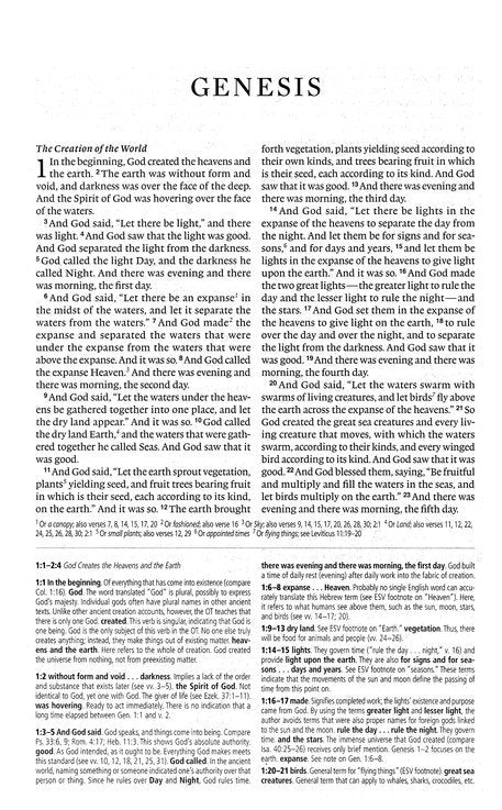 ESV Concise Study Bible, Economy Edition