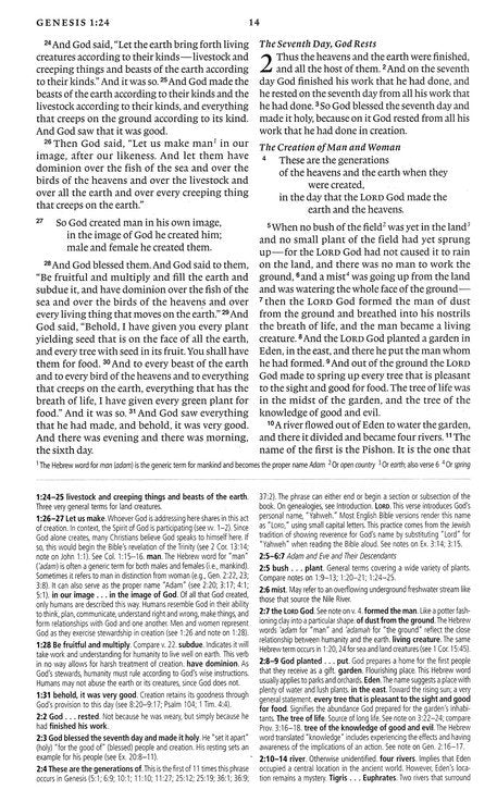 ESV Concise Study Bible, Economy Edition