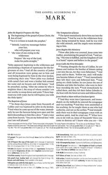 ESV Concise Study Bible, Economy Edition