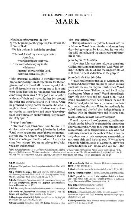 ESV Concise Study Bible, Economy Edition