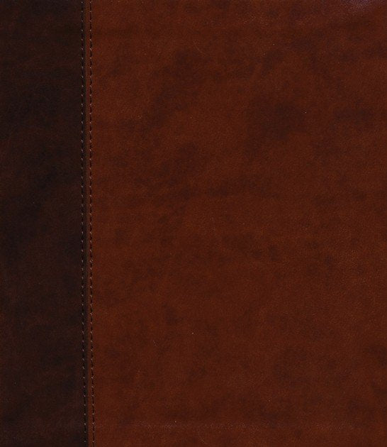 ESV Journaling Bible Brown/Tan TruTone