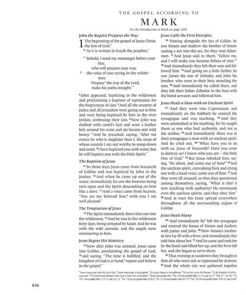 ESV Journaling Bible Brown/Tan TruTone