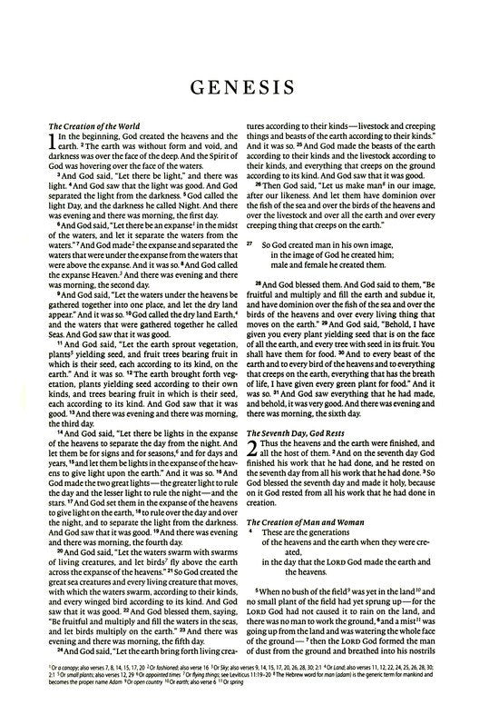 ESV Journaling Bible Interleaved Edition, Mahogany