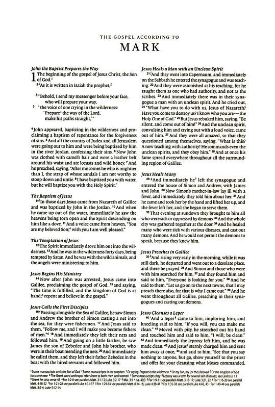 ESV Journaling Bible Interleaved Edition, Mahogany