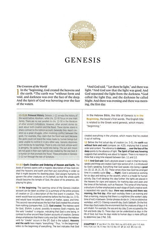 ESV Men's Study Bible Forest/Tan Trutone