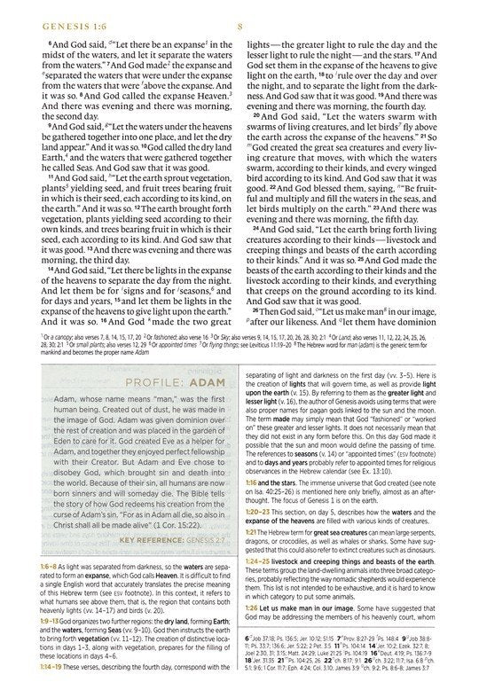 ESV Men's Study Bible Forest/Tan Trutone