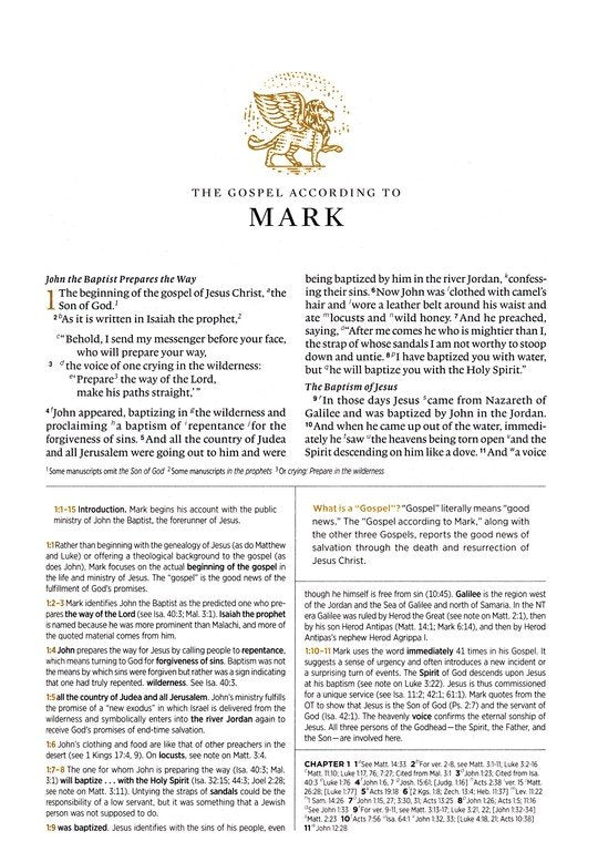 ESV Men's Study Bible Forest/Tan Trutone