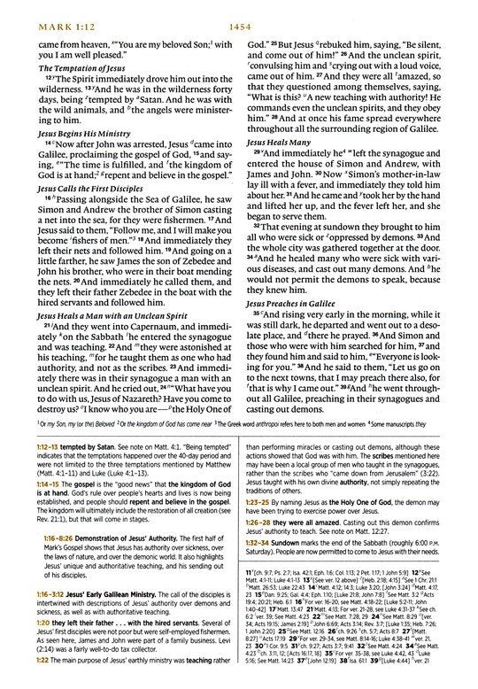 ESV Men's Study Bible Forest/Tan Trutone