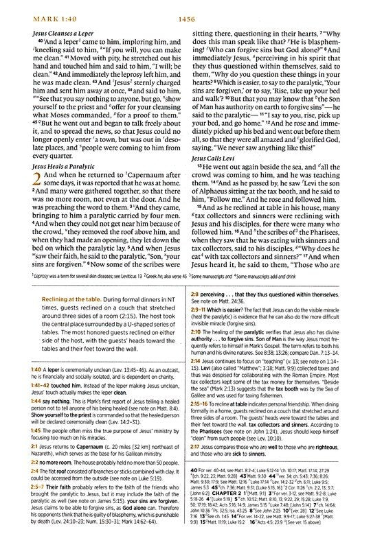 ESV Men's Study Bible Forest/Tan Trutone