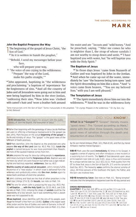 ESV Student Study Bible Turquoise TruTone