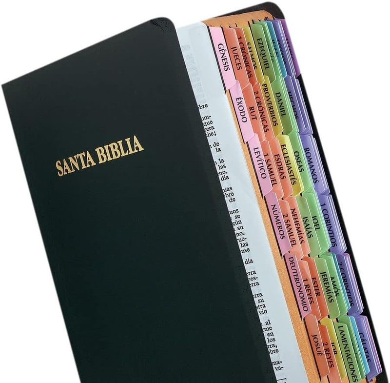 Tabbies Spanish Rainbow OT & NT Bible Indexing Tabs