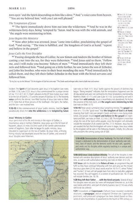 ESV Study Bible, Personal Size - Turquoise Trutone