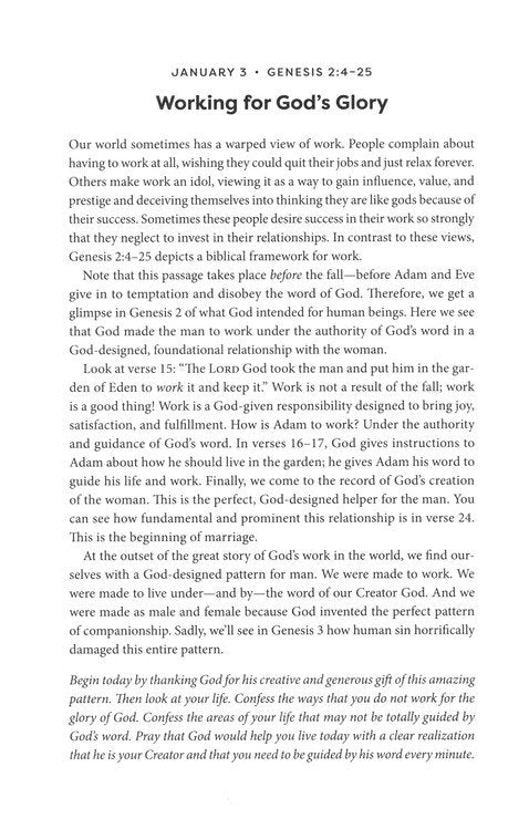 God's Great Story: A One Year Daily Devotional for Teens