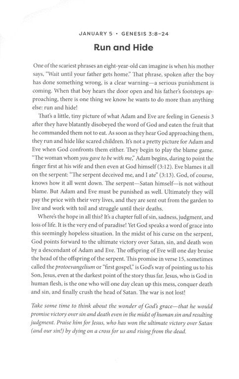 God's Great Story: A One Year Daily Devotional for Teens