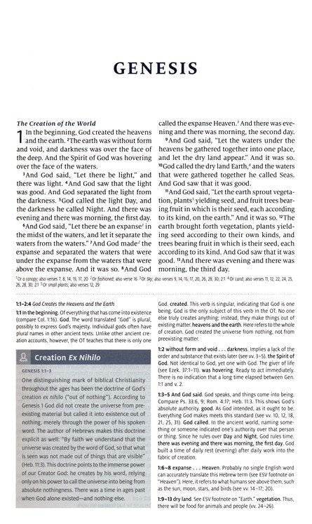 ESV Teen Study Bible Seaside Blue Trutone