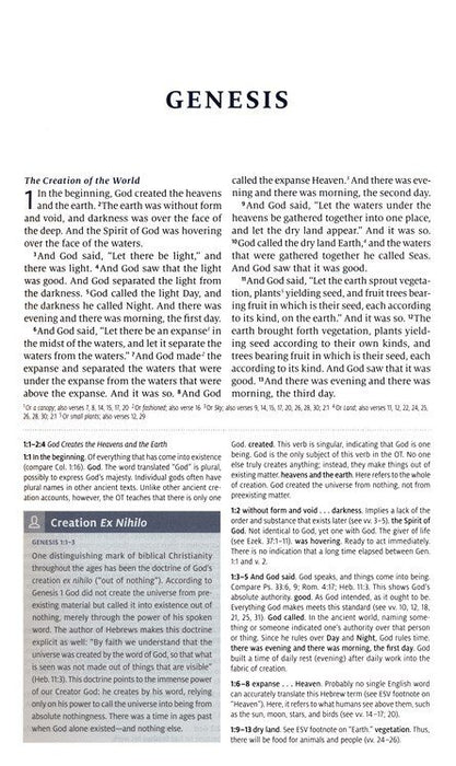 ESV Teen Study Bible Seaside Blue Trutone