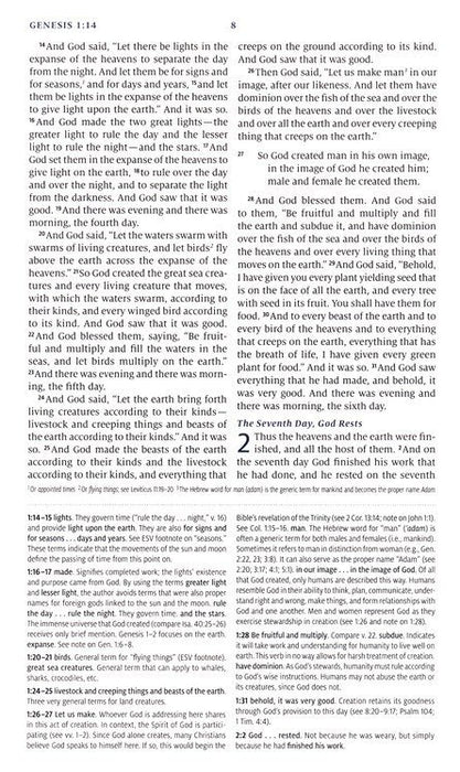 ESV Teen Study Bible Seaside Blue Trutone