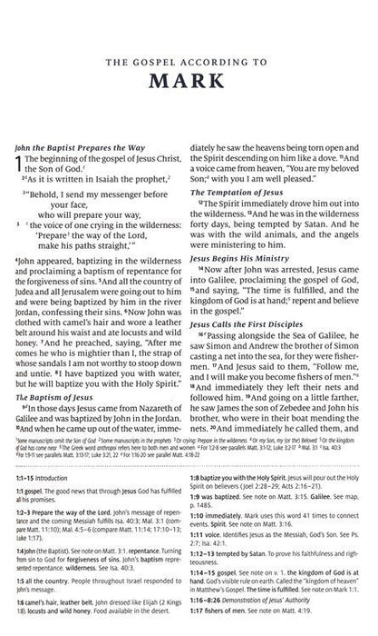 ESV Teen Study Bible Seaside Blue Trutone