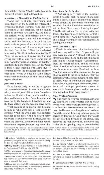 ESV Teen Study Bible Seaside Blue Trutone