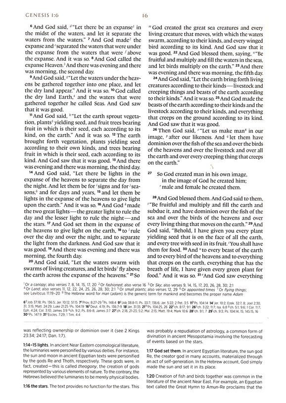 ESV Archaeology Study Bible Brown TruTone