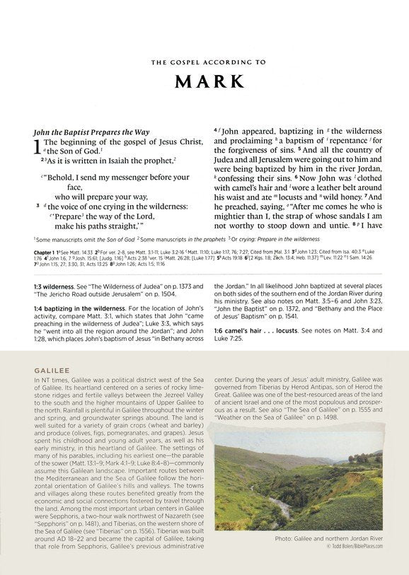 ESV Archaeology Study Bible Brown TruTone