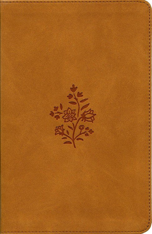ESV Student Study Bible Caramel Nubuck Trutone