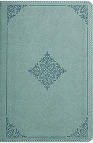 ESV Student Study Bible Paris Sky TruTone