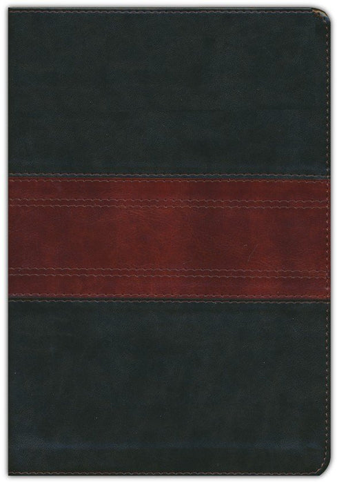 ESV Men's Study Bible Forest/Tan Trutone