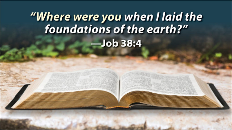The Flood, Fossils and Faith: Exploring Genesis 1-11