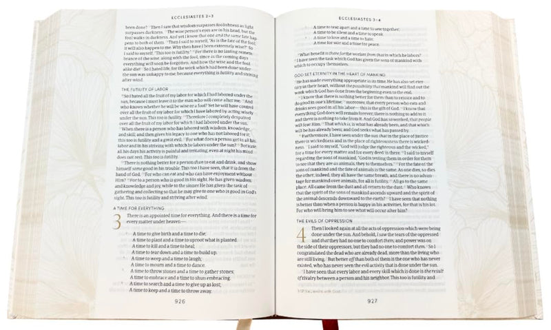 NASB 2020 The Beauty of Scripture Wide Margin Bible Tan Leatherflex