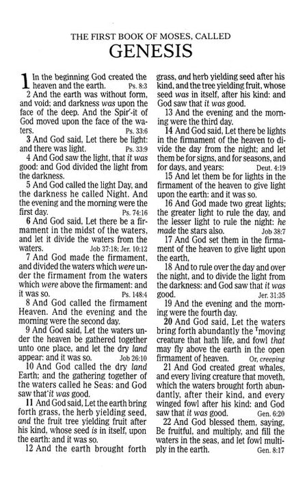 KJV Large Print Sportsman's Bible Mothwing Camouflage