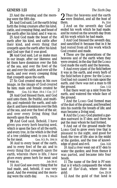 KJV Large Print Sportsman's Bible Mothwing Camouflage