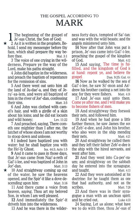 KJV Large Print Sportsman's Bible Mothwing Camouflage