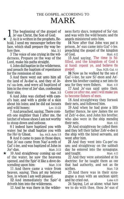 KJV Large Print Sportsman's Bible Mothwing Camouflage