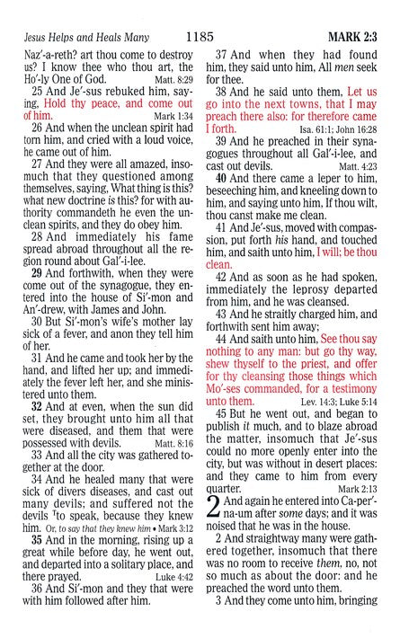 KJV Large Print Sportsman's Bible Mothwing Camouflage