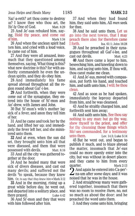 KJV Large Print Sportsman's Bible Mothwing Camouflage